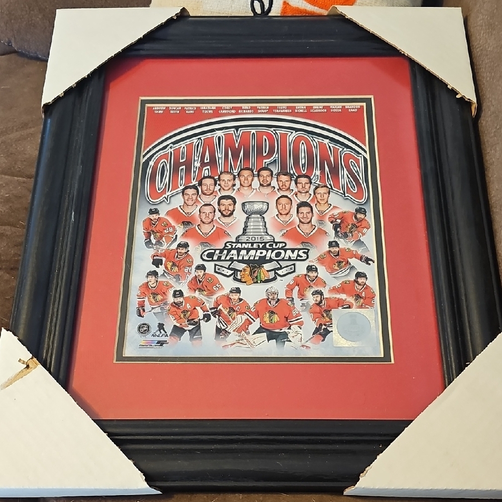 Framed Stanley Cup Champions Poster